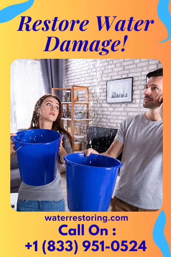 water restoration Elite Water Repair Masters Knapp