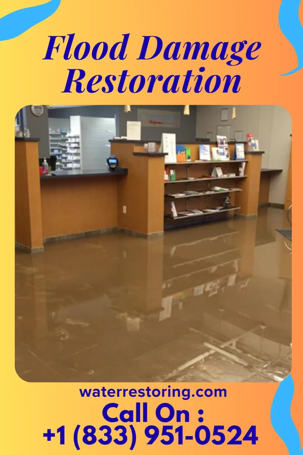 Flood Damage Restoration in Knapp, WI