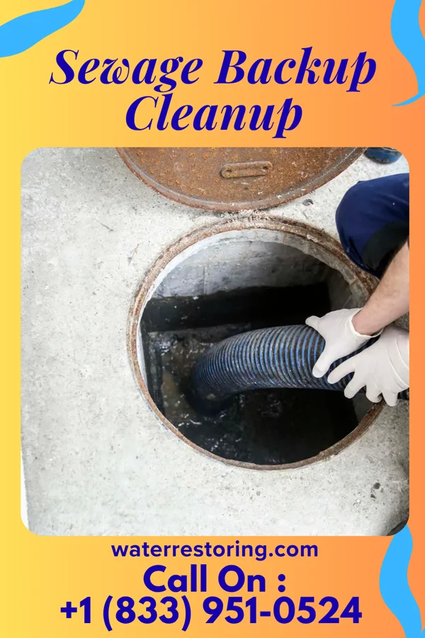 Sewage Backup Cleanup in Knapp, WI